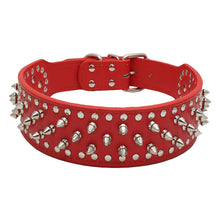 Studded Rivet Dog Collar – Large Breeds
