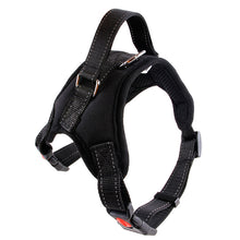Nylon Dog Collar & Leash – Bold Prints
