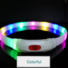 Luminous Silicone Pet Collar – Glow