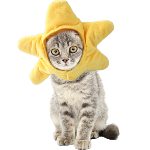 Starfish Cat Headgear – Plush Costume
