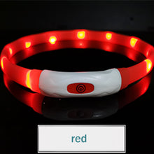 Luminous Silicone Pet Collar – Glow