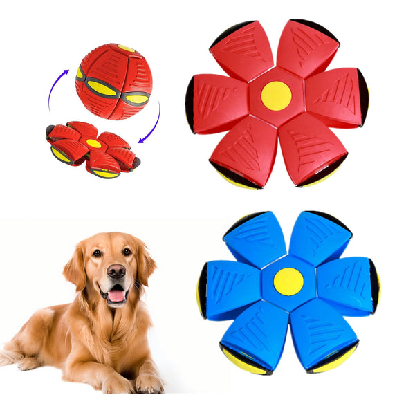 Flying Saucer Ball Dog Toy 2-Pack – Red & Blue