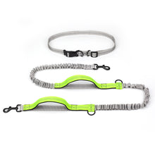 Outdoor Running Dog Leash – Foam Grip