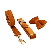 Velvet Dog Collar & Leash Set