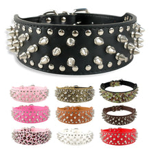 Studded Rivet Dog Collar – Large Breeds