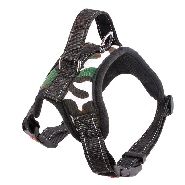 Nylon Dog Collar & Leash – Bold Prints