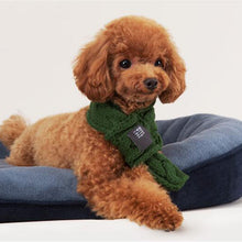 Warm Knit Dog Scarf