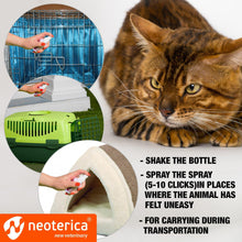 Calming Pheromone Spray for Cats – Stress Relief