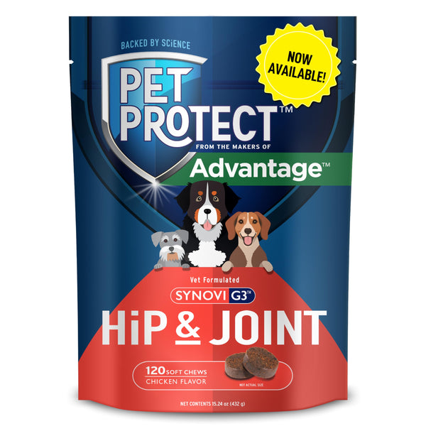 Hip & Joint Supplement for Dogs – 120 Chews
