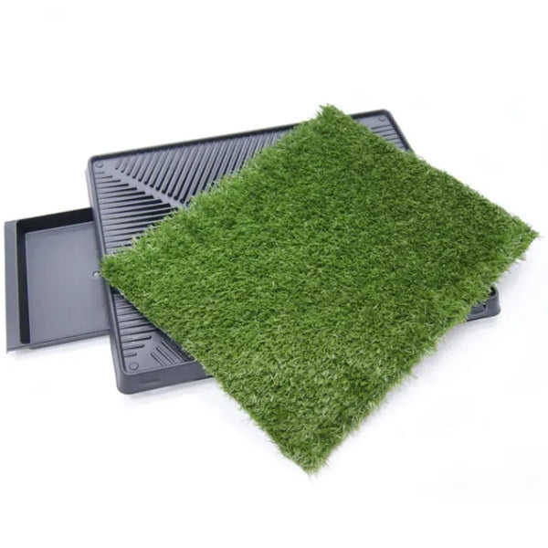 Indoor Grass Pad Pet Toilet – 64×51 cm