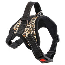 Nylon Dog Collar & Leash – Bold Prints