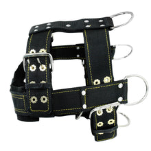 Dog Training Bite Suit