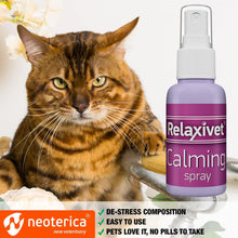Calming Pheromone Spray for Cats – Stress Relief