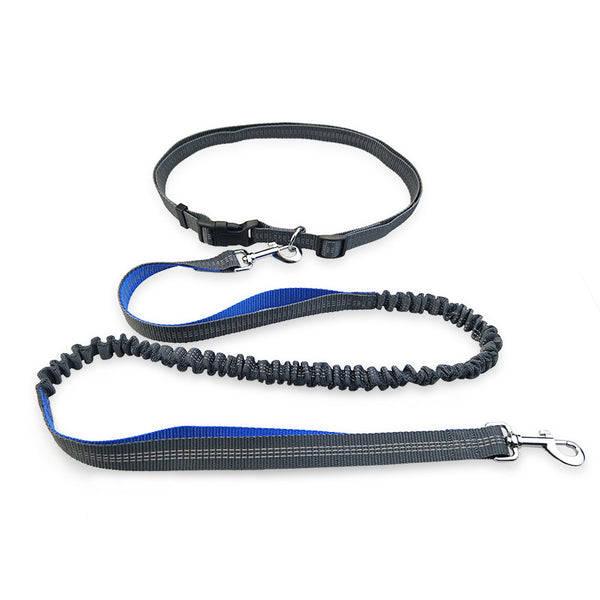 Hands-Free Dog Running Leash