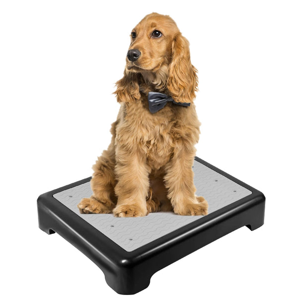 Dog Training Place Board – Non-Skid Platform