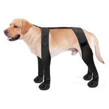 Waterproof Dog Boots – 4 Pack