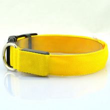 LED Light-Up Dog Collar