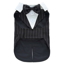 Dog Tuxedo Dress – Formal Occasions