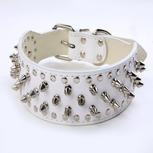 Studded Rivet Dog Collar – Large Breeds