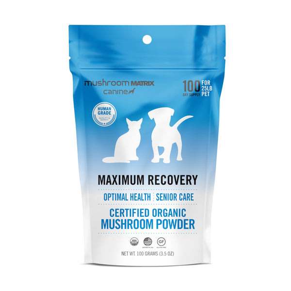 Mushroom Maximum Recovery – Dogs & Cats