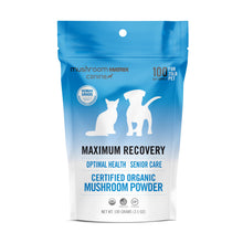 Mushroom Maximum Recovery – Dogs & Cats