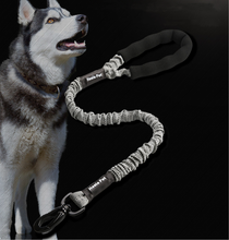 Elastic Hands-Free Dog Running Leash