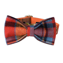 Orange Velvet Dog Collar & Rope Set