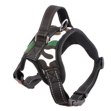 Nylon Dog Collar & Leash – Bold Prints