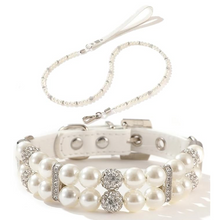 Pet Collar and Leash Combo
