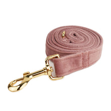 Velvet Fabric Pet Collar for Dogs