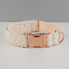 Velvet Collar with Gold Buckle Set