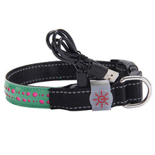 LED Glow Pet Collar – S, M, L