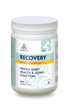 Pet Recovery Joint Chews – 360 Count