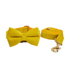 Velvet Bow Collar & Rope Set