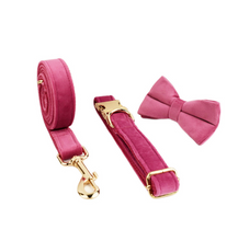 Velvet Dog Collar & Leash Set