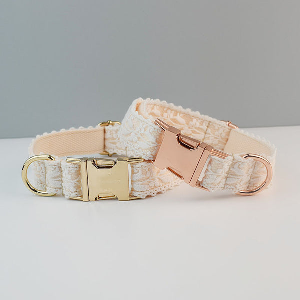 Velvet Collar with Gold Buckle Set