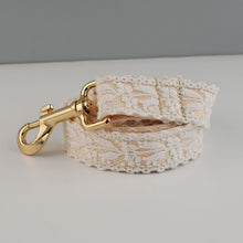 Velvet Collar with Gold Buckle Set