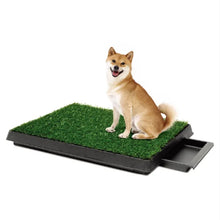 Indoor Grass Pad Pet Toilet – 64×51 cm