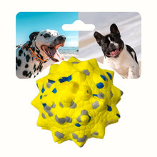 Tough Bouncy Floating Dog Balls