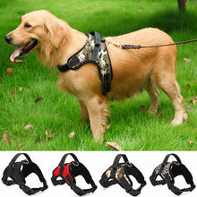 Nylon Dog Collar & Leash – Bold Prints