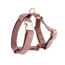 Velvet Fabric Pet Collar for Dogs