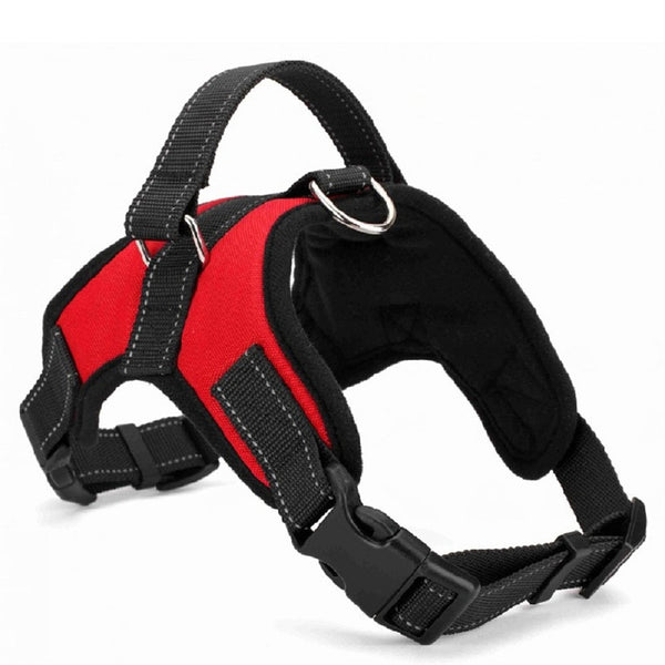 Nylon Dog Collar & Leash – Bold Prints