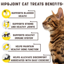 Glucosamine Joint Chews for Cats