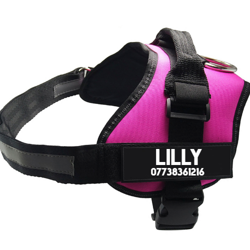 Adjustable Nylon Dog Chest Harness
