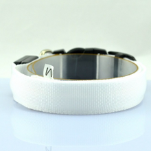 LED Light-Up Dog Collar