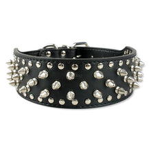 Studded Rivet Dog Collar – Large Breeds