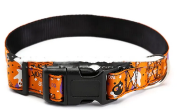 Halloween Pet Collar – Spooky Designs