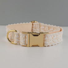Velvet Collar with Gold Buckle Set