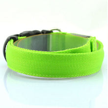LED Light-Up Dog Collar