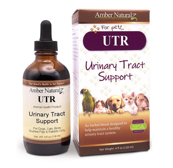 UTR Urinary Tract Herbal Drops – 4 oz